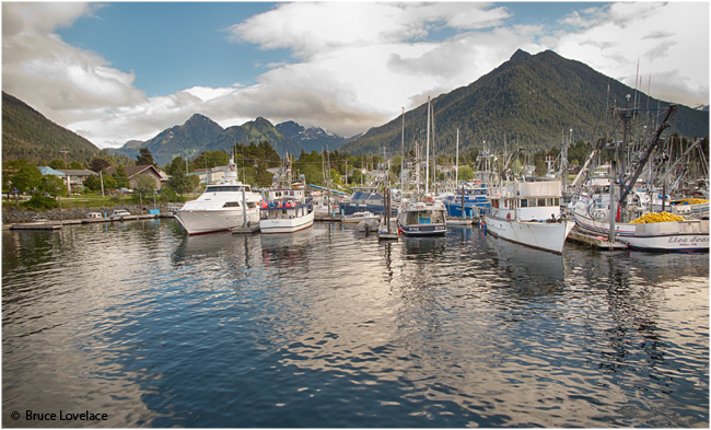Sitka harbour by Bruce Lovelace ©