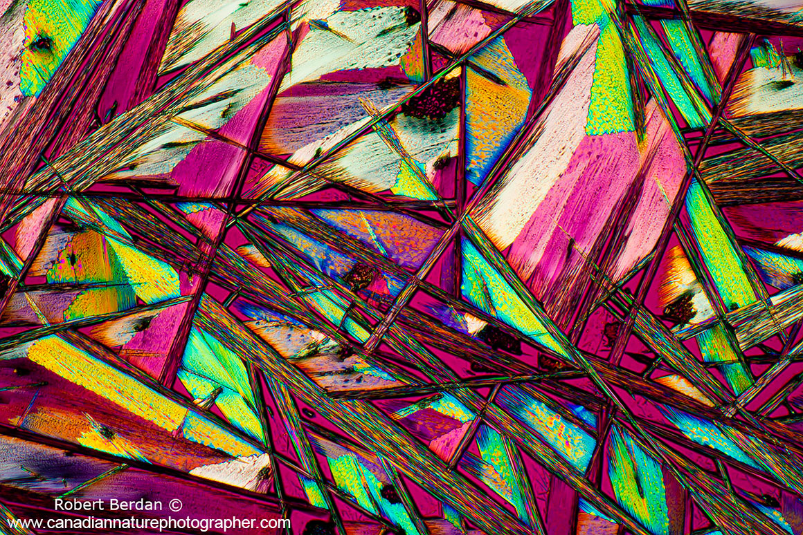 Caffeine crystals viewed in polarized light and use of full wave plate 40X by R. Berdan ©