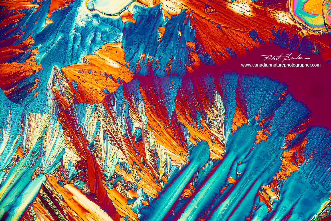 annabis THC crystals in polarized light with a wave plate by R. Berdan ©