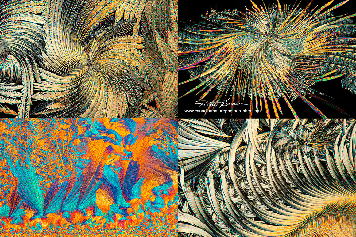 Borad acid callus remover crystals by polarized light microscopy Robert Berdan ©