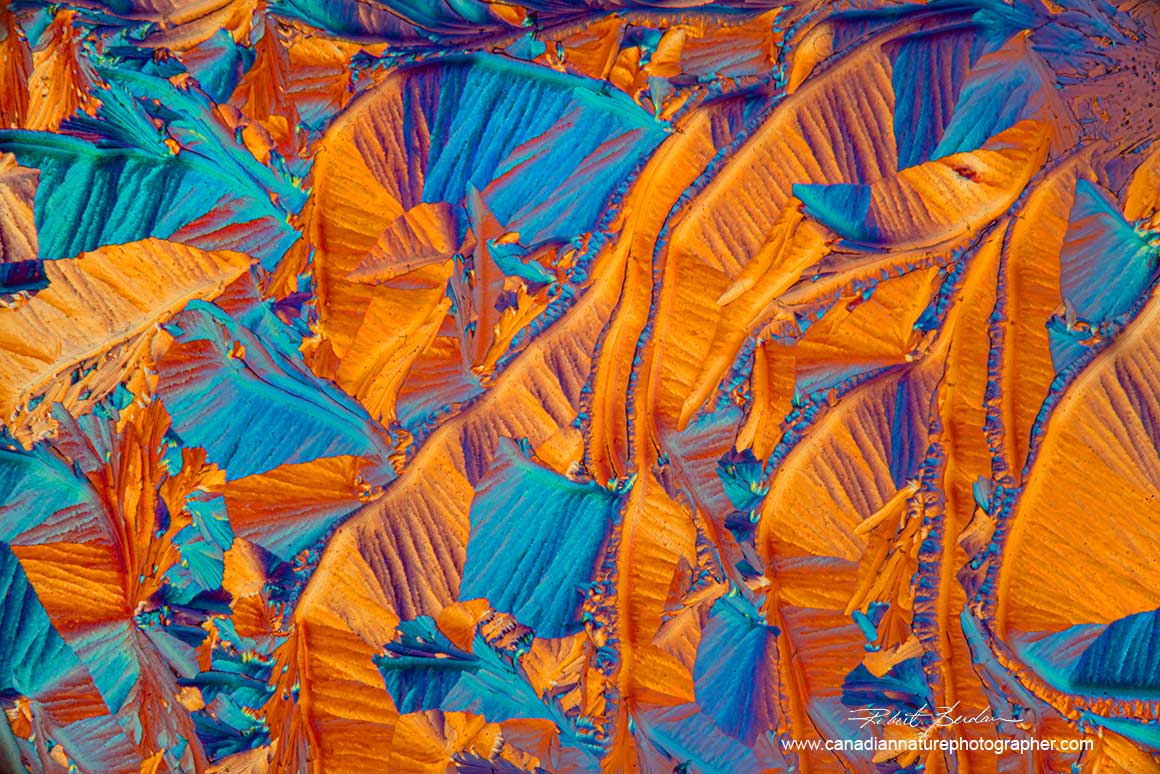 Crystals of Alanine and Glutamine in Ethanol and water, 40X Polarized light microscopy with a full wave plate. Robert Berdan ©