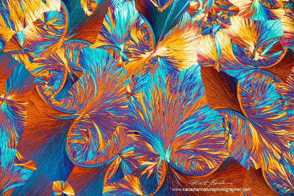 Callus remover crystals in polarized light by Robert Berdan ©