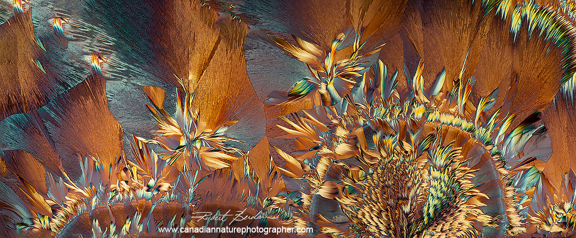 Alanine and Glutamine crystals - a panoram by Robert Berdan ©