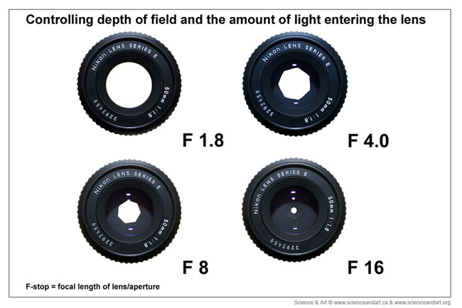 Lens aperture and F-stops by Robert Berdan 