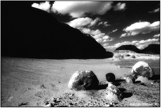 black and white nature photography. Black and white infrared film