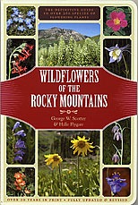 Wildflowers of the Rockies Guide Book by Halle Flygare 