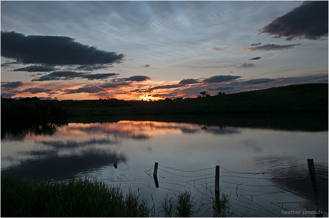 Wetland at sunrise by Heather Simonds ©