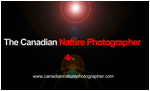 Canadian Nature photographer logo