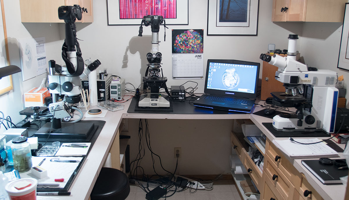 Microscopy lab and work area by  Robert Berdan ©