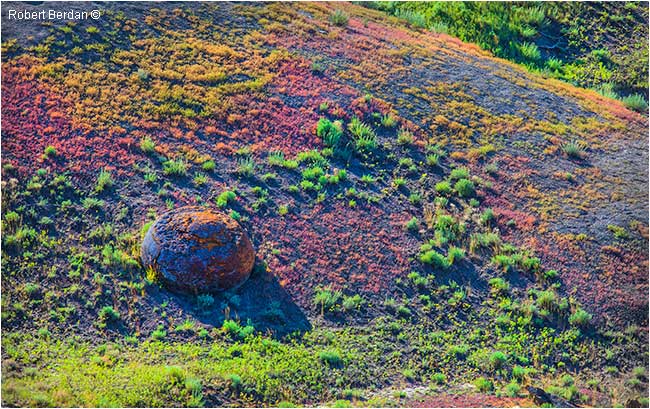 Pastel coloured grass Red Rock Coulee by Robert Berdan ©