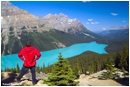Peyto Lake in the Canadian Rockies by R. Berdan &copy;