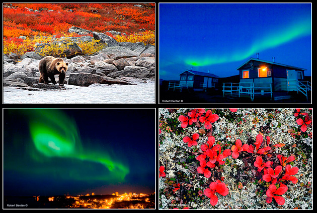 Arctic Adventure photographs at Peterson's Point Lodge