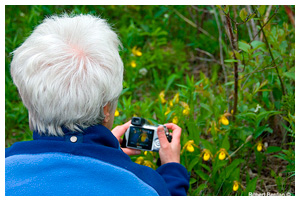 Women photgraphing Ladyslippers with compact digital camera by Robert Berdan &copy;