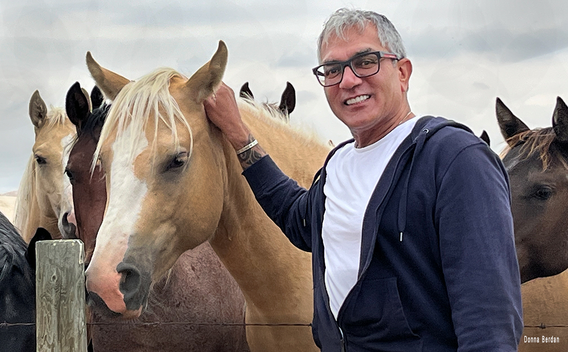Kamal making friends with some horses on the edge of Grasslands by Donna Berdan ©