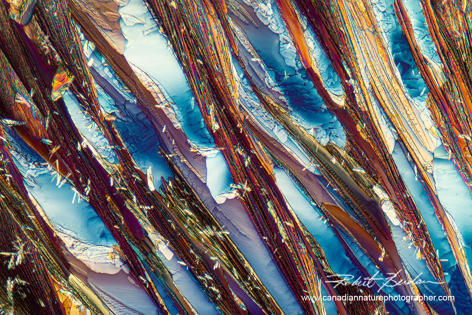 Red wine crystals (CA1) Napa Valley polarized light microscopy 100X. by Robert Berdan ©