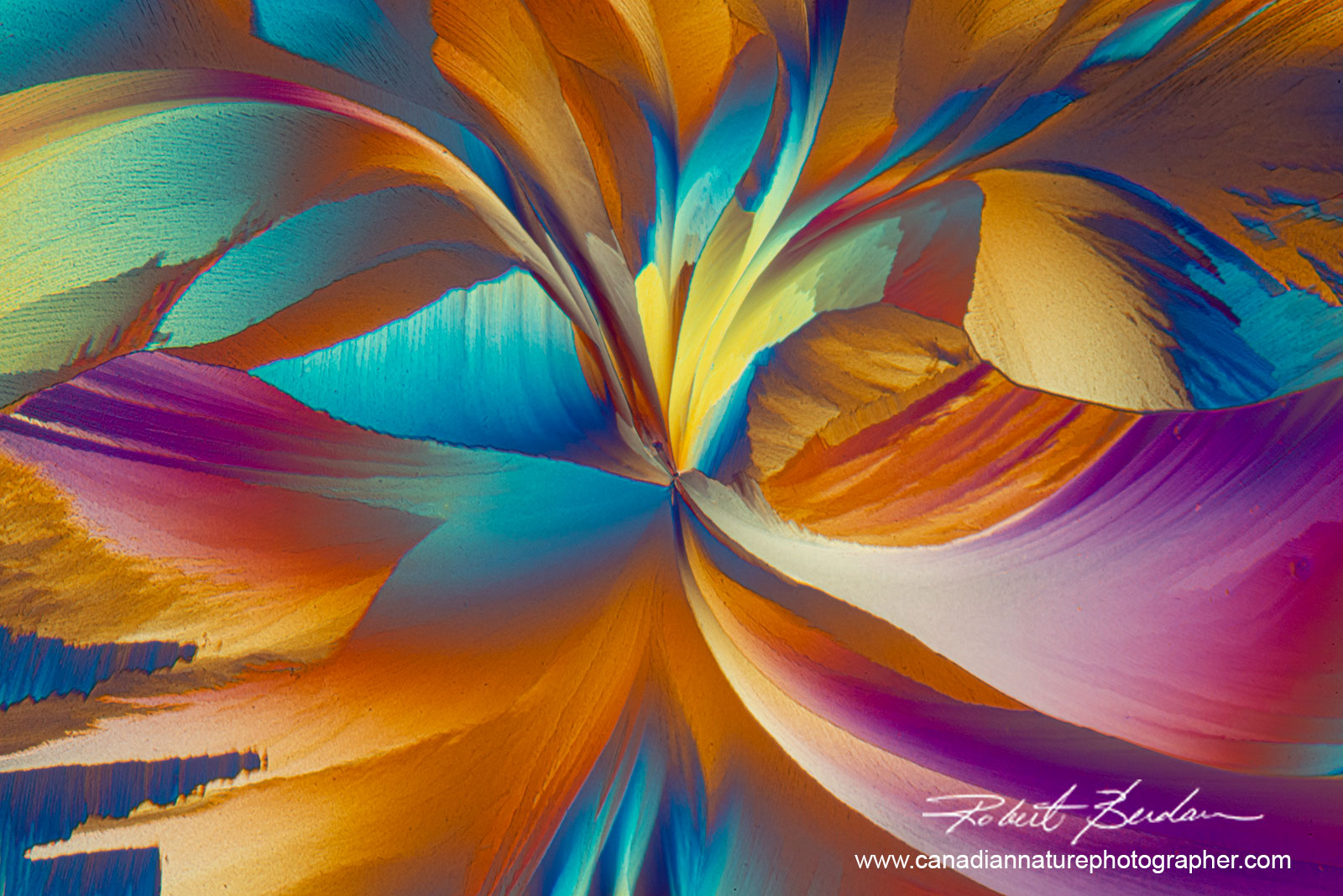 Red wine (CA1) crystals from Napa Valley polarized light microscopy 100X by Robert Berdan ©