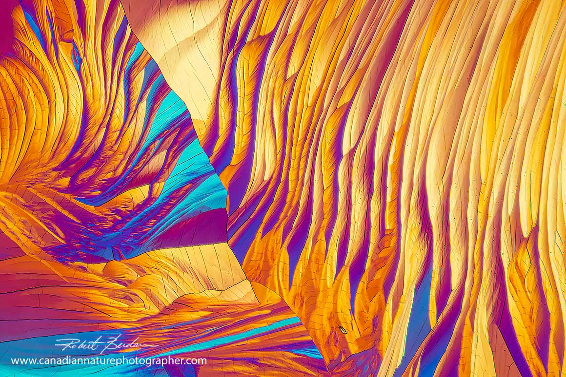 Red wine crystals by polarized light microscopy 100X by Robert Berdan ©