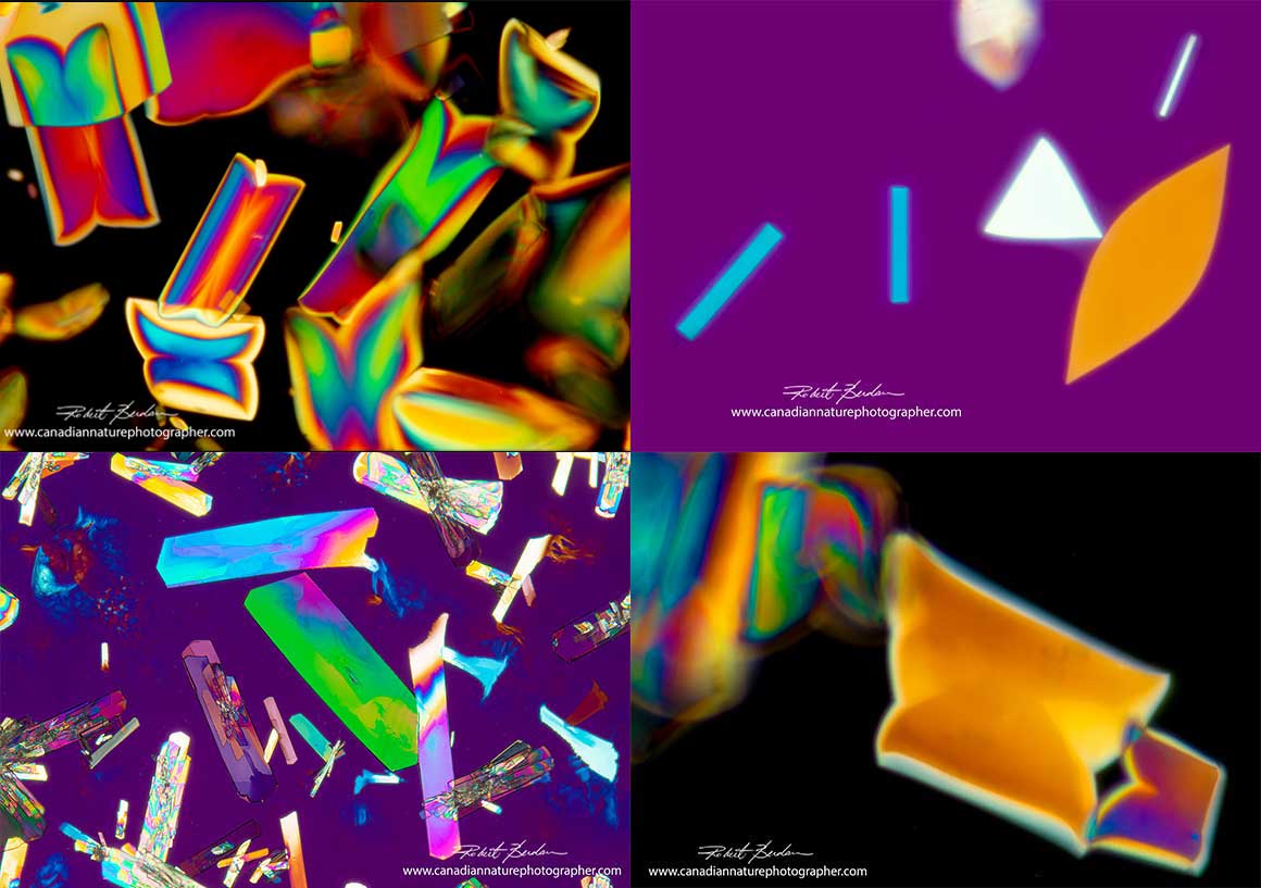 Tartaric acid crystals from creme of tartar by polarized light microscopy.by Robert Berdan ©