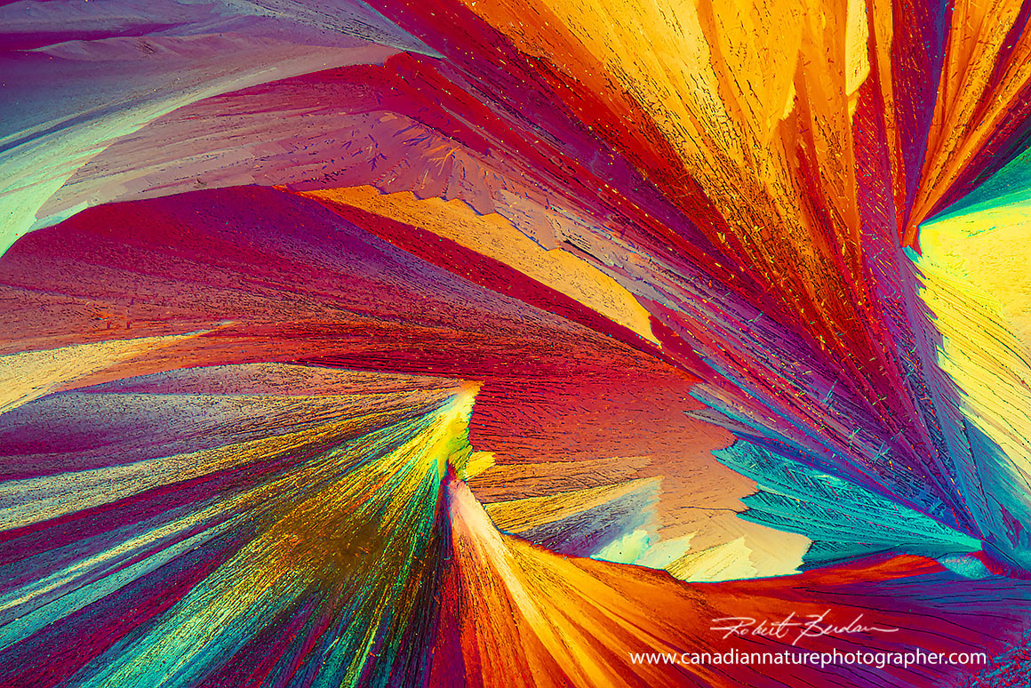 Wine crystals by polarized light microscopy 100X  by Robert Berdan ©