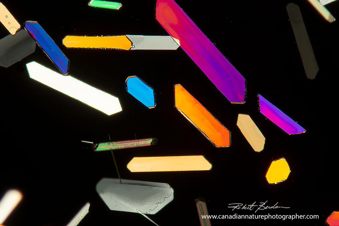 Tartaric acid crystals from creme of tartar by polarized light microscopy 100X by Robert Berdan ©