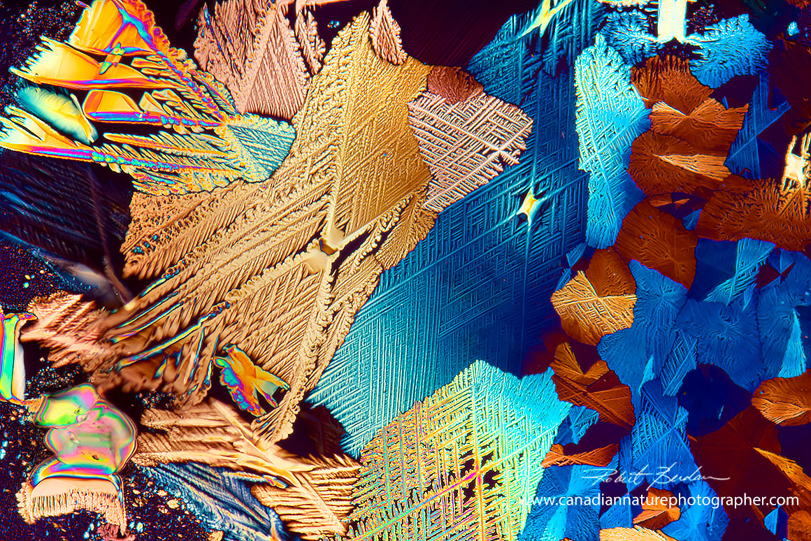 Tartaric acid crystals with feathery edges viewed by polarized light microscopy 100X by Robert Berdan ©