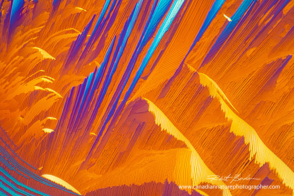 Red Wine crystals by polarized light microscopy 100X  by Robert Berdan ©