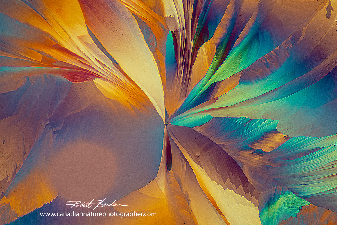 French rose wine crystals by polarized light microscopy 100X. by Robert Berdan ©