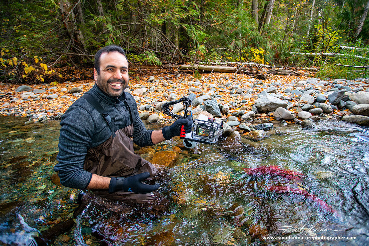 Sharif in a shallow tributary photographing Sockeye Salmon  by Robert Berdan ©