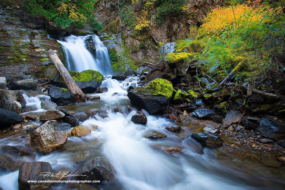 A short walk up Chase creek ends in a beautiful waterfall by Robert Berdan ©