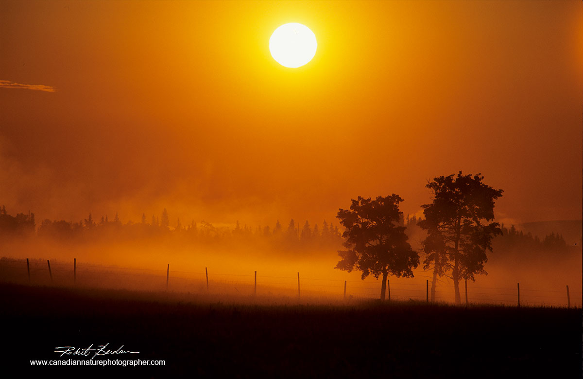 Sunrise next to highway 1A near Morely Robert Berdan ©