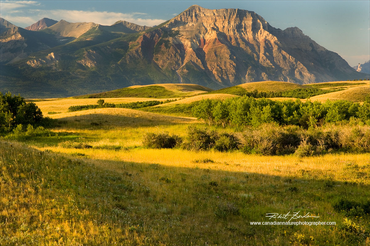Vimy Peak Waterton National park with grasslands in the foreground - next to the highway Robert Berdan ©