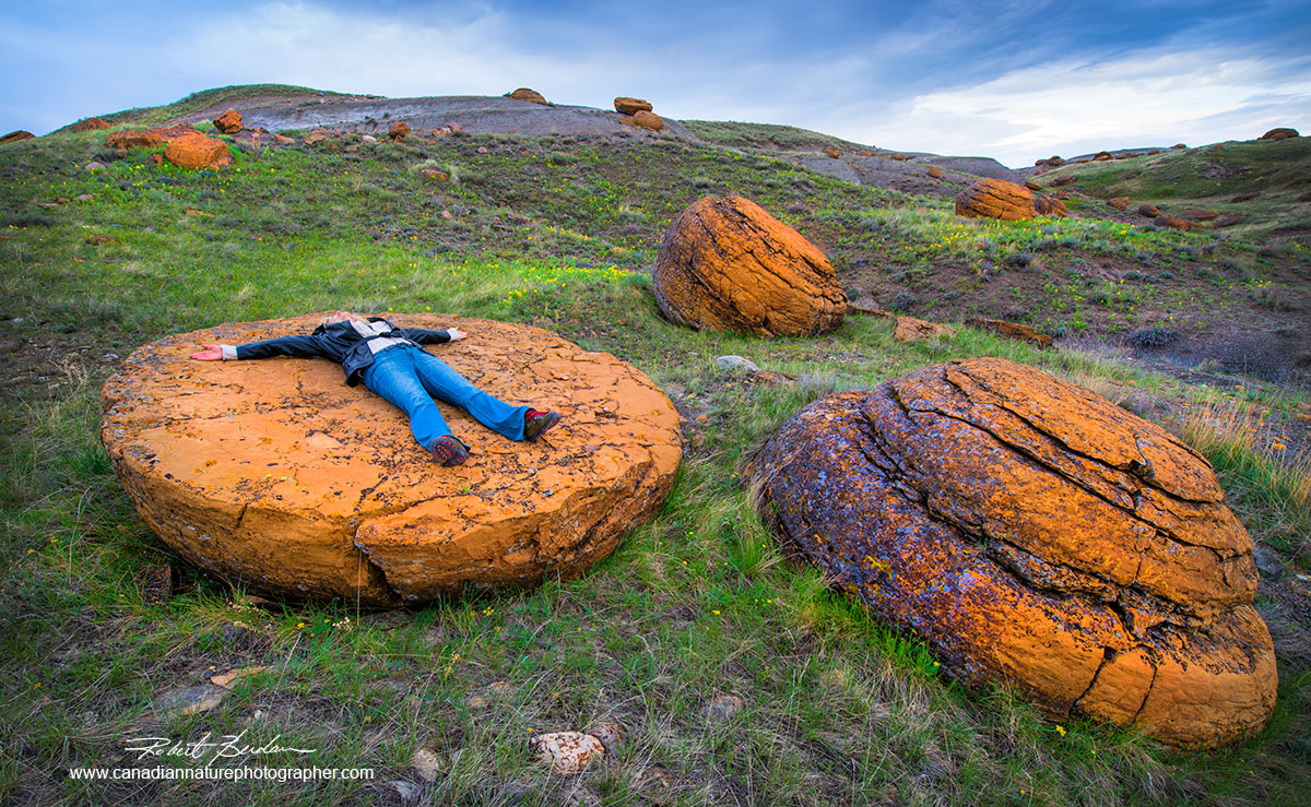Red Rock Coulee showing the large concretions Robert Berdan ©