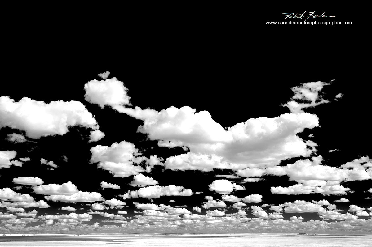 Prairies near Empress Alberta black and white photo Robert Berdan ©