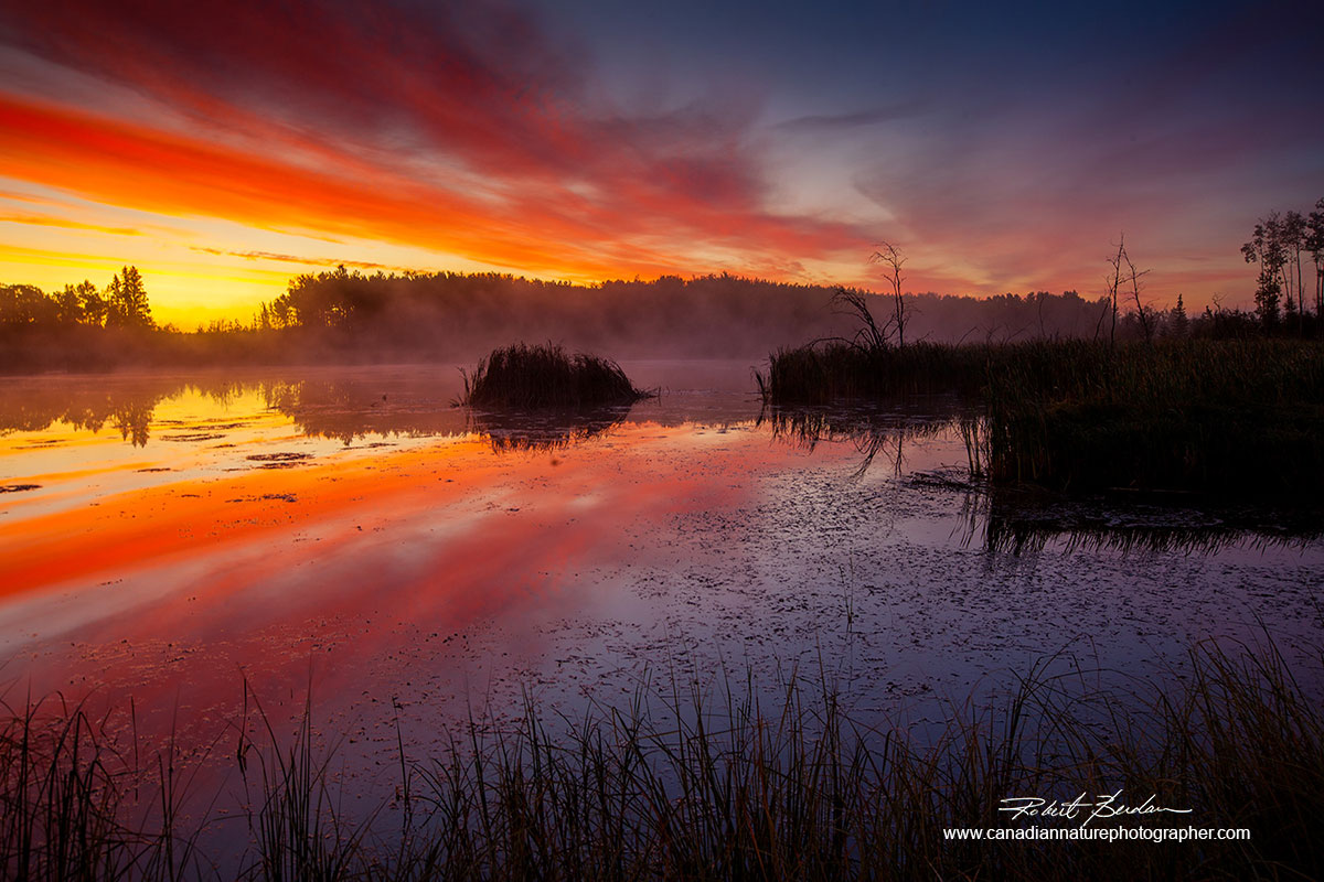 Pond in Northern Alberta near Paddle Prairie Robert Berdan ©