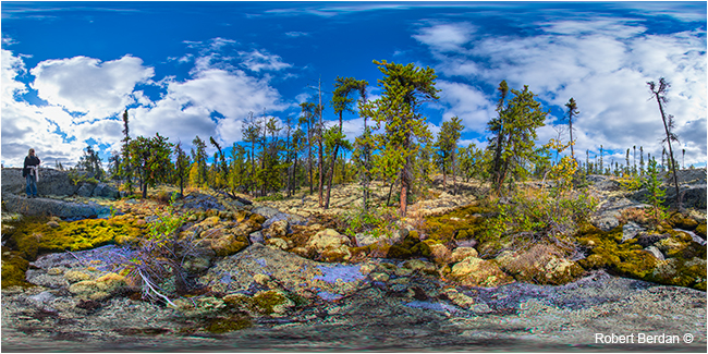 Prelude Territorial park  hiking trail panorama by Robert Berdan ©