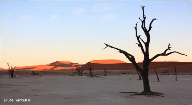 Namibia by Bruce Turnbull ©