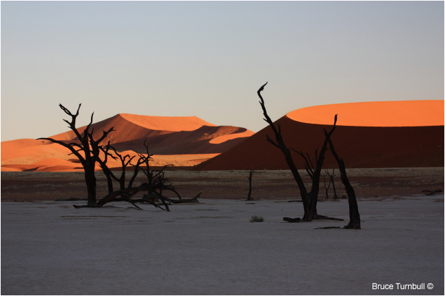 Early morning at Deadvlei, Sossusvlei, Namibia by Bruce Turnbull ©