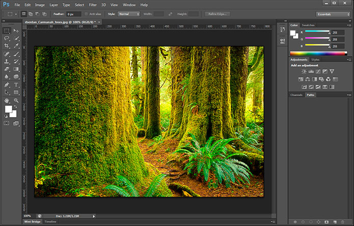 Adobe Photoshop CS6 interface screen shot 