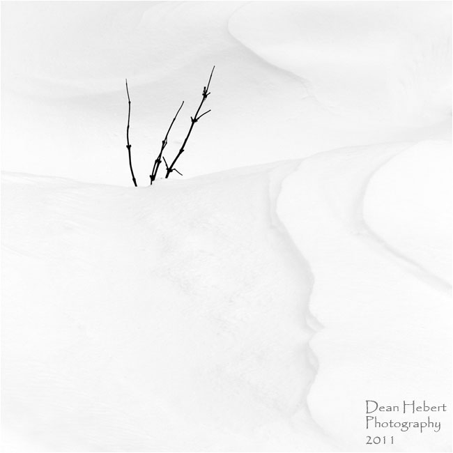 Winter abstract by Dean Hebert ©