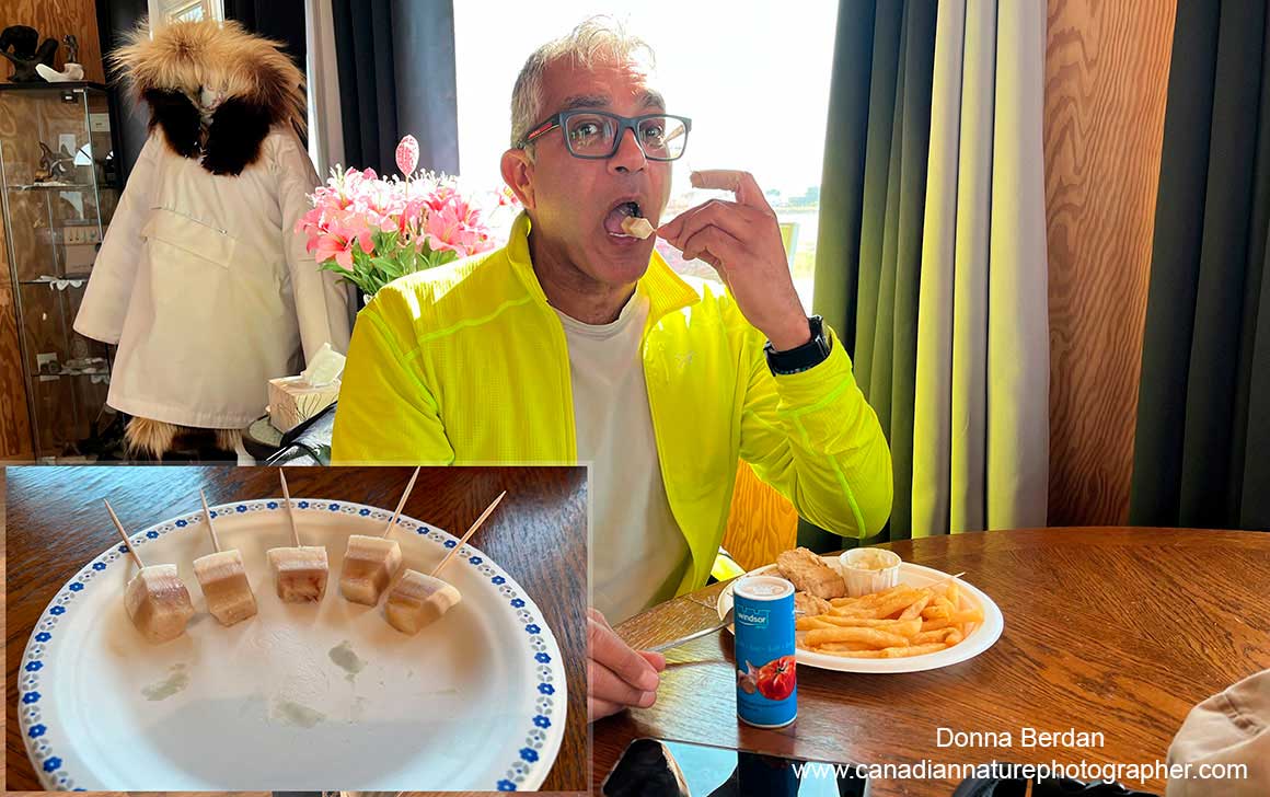 Kamal tasting the local cuisine - Muktuk bites by Donna Berdan