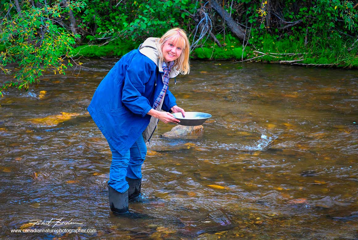 Donna Berdan panning for gold in Bonanza creek n Dawson city by Robert Berdan