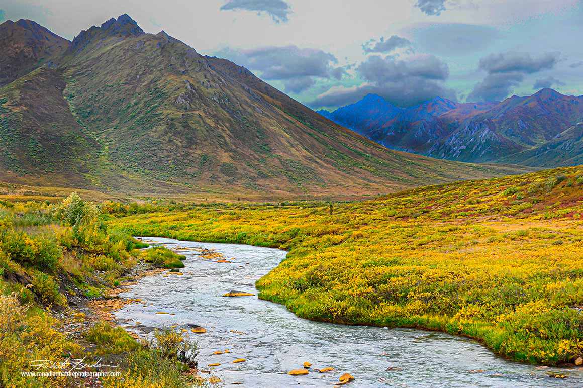 Swmparwe view north of the visitor center Robert Berdan