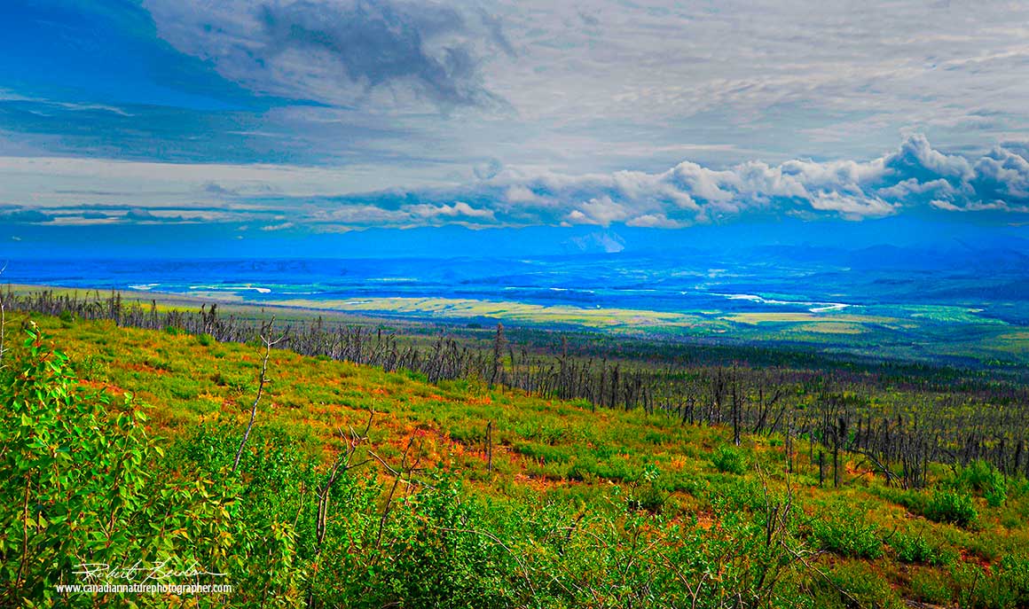 View from the Dempster highway south of Eagle Planins Robert Berdan