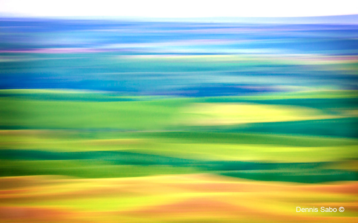 Prairie Colors by Dennis Sabo ©