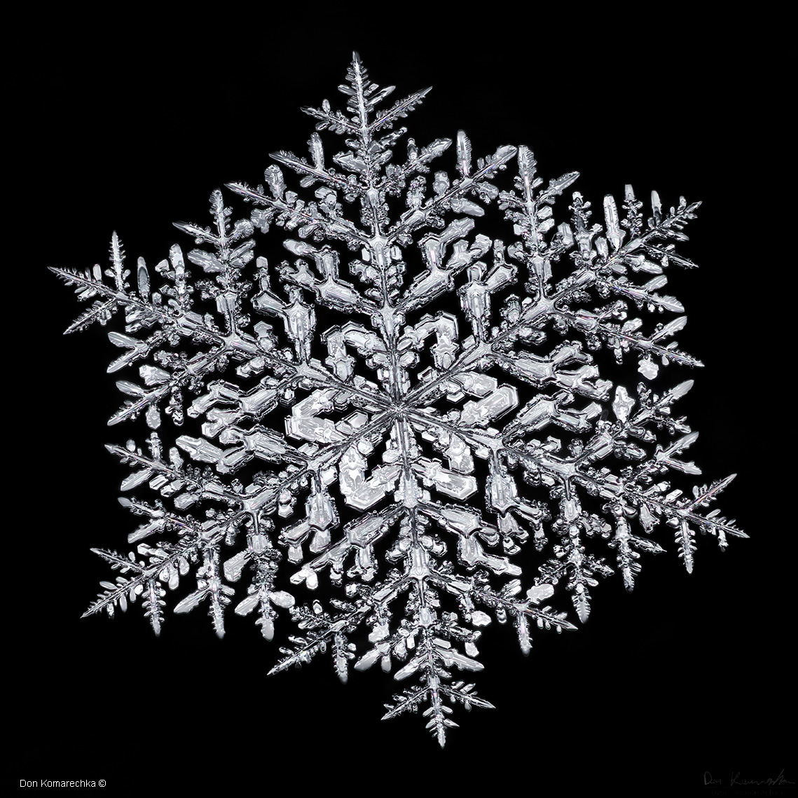 Snow crystal Don Komarechka ©