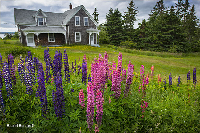 bandoned Home Nova Scotia by Robert Berdan 
