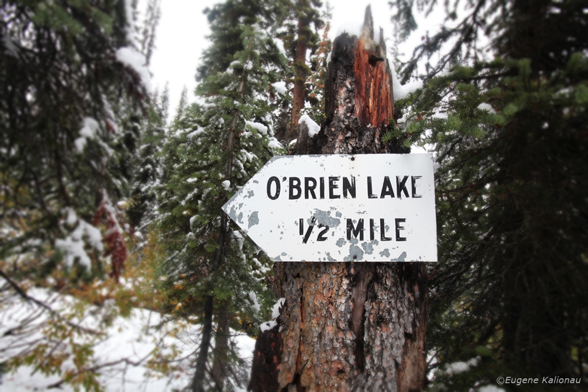 Sign to 0'Brien Lake Eugene Kalionau ©