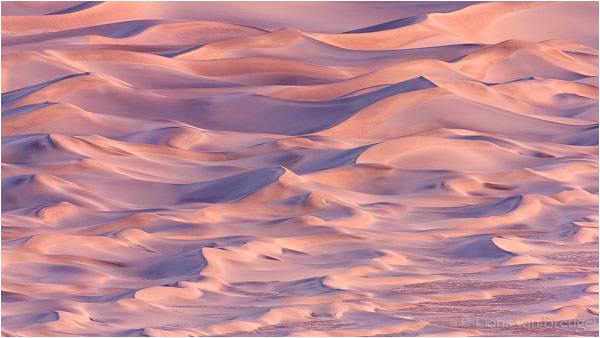 The Sandbox” ~ Death Valley National Park, CA by Floris van Breugel ©