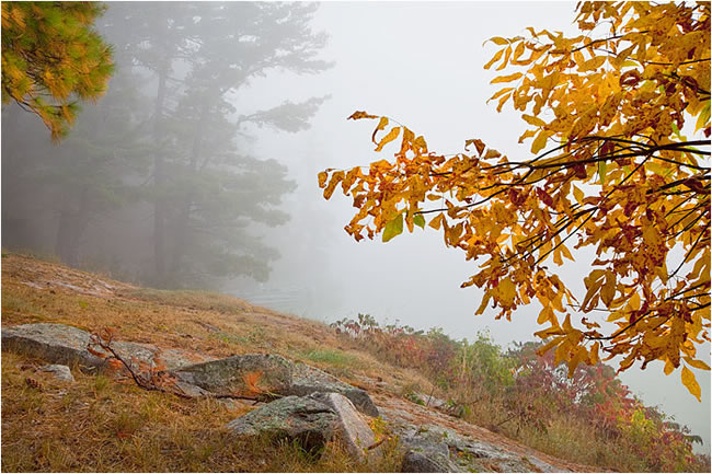 Autumn scene at Lake of the Woods, Ontario in Fog by Robert Berdan ©