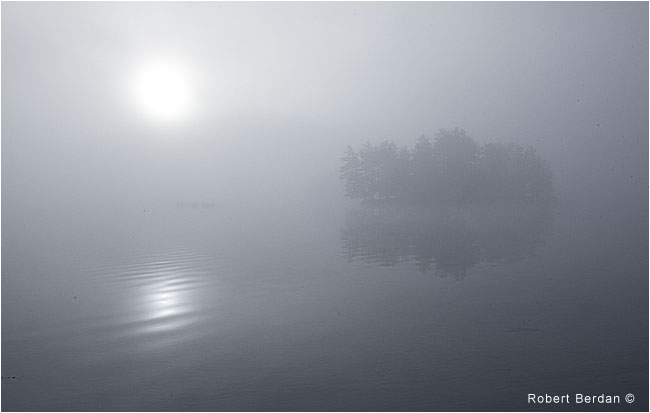 Island in fog, Lake of the Woods, Ontario by Robert Berdan ©